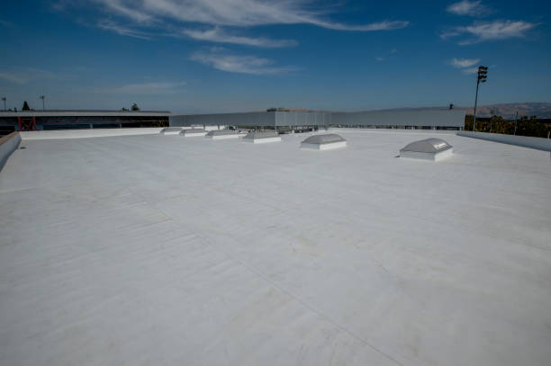 Best Rubber Roofing (EPDM, TPO)  in Rogersville, AL