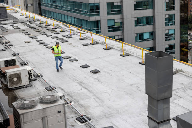 Best Roof Leak Repair  in Rogersville, AL