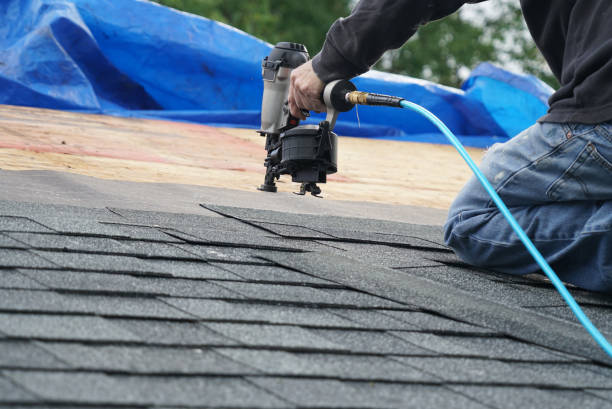 Best Steel Roofing  in Rogersville, AL