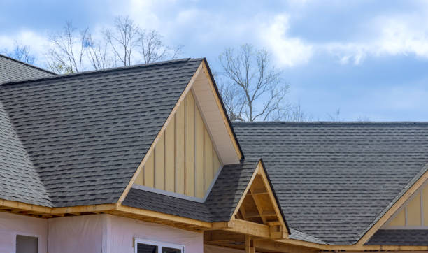 Best Steel Roofing  in Rogersville, AL