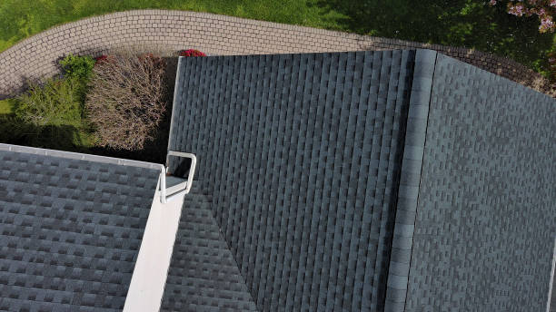 Best Roof Ventilation Installation  in Rogersville, AL