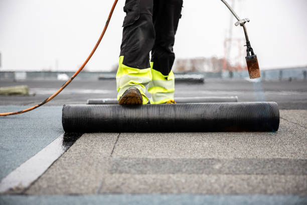 Best Asphalt Shingle Roofing  in Rogersville, AL