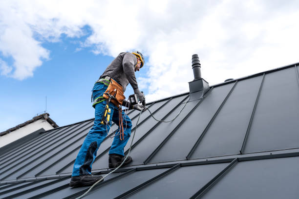 Best Rubber Roofing (EPDM, TPO)  in Rogersville, AL